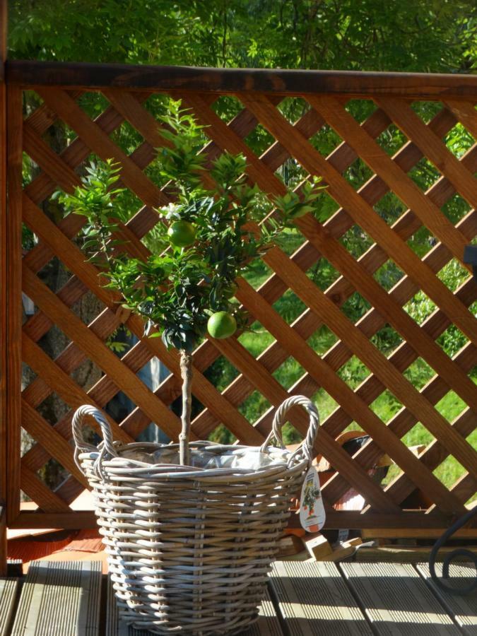 Gite Colombe Des Bois Estadens 外观 照片